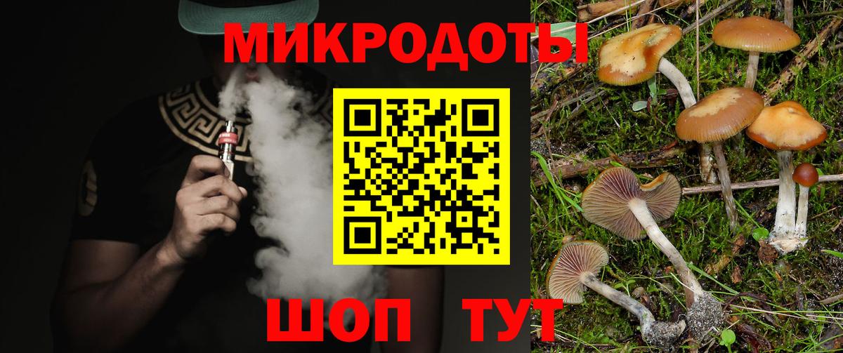 Псилоцибиновые грибы прущие грибы Нарткала