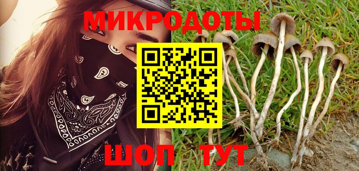 Нарткала  Галлюциногенные грибы мицелий  Вход с VPN 