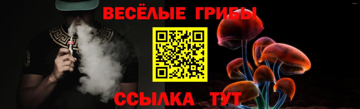 Галлюциногенные грибы Psilocybine cubensis Нарткала